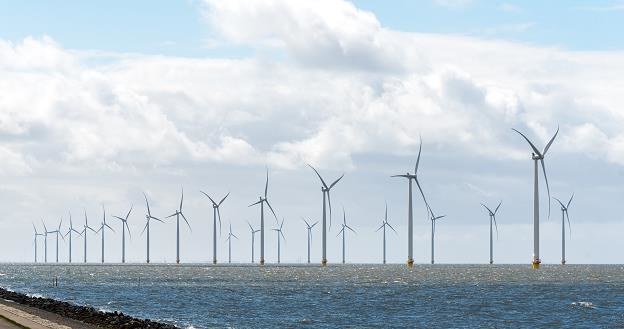 Kilkanaście największych światowych firm chce budować z PGE wiatraki na Bałtyku /&copy;123RF/PICSEL