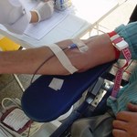 Kilkanaście tysięcy osób gotowych, by oddać krew dla Ukrainy