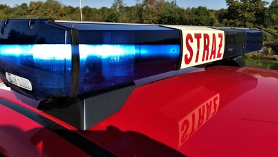 Kilkaset beczek z chemikaliami. Nielegalne składowisko zlikwidowane