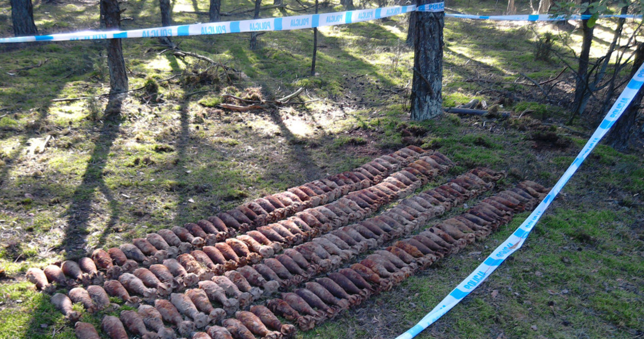 Kilkaset pocisków z czasów II wojny światowej odkryto na Mazowszu