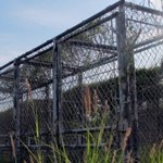 Kilkunastu więźniów zostanie przeniesionych z Guantanamo