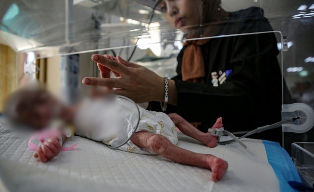 Kilogram pomidorów kosztuje 100 zł. Gaza na skraju humanitarnej przepaści