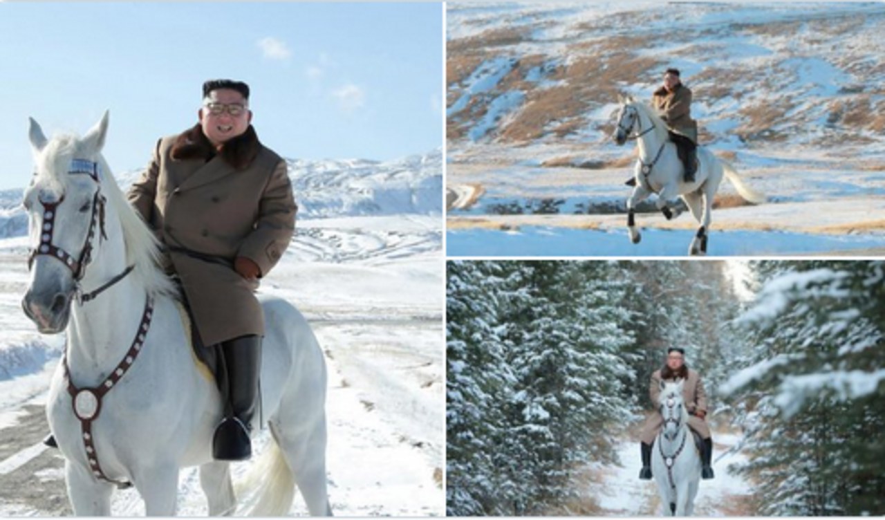 Kim Dzong Un na... białym koniu 