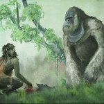 King Kong istniał naprawdę. Już wiemy, dlaczego największa małpa wymarła