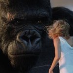 "King Kong" legalnie w internecie