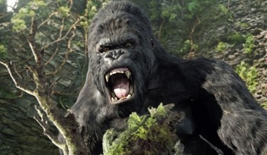 King Kong mógł w ogóle nie powstać. Jego twórca omal nie zginął w Polsce