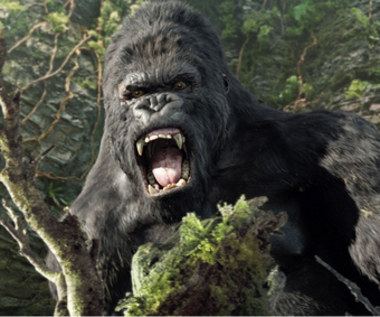King Kong naprawdę istniał. Ale jego śmierć nie była filmowa
