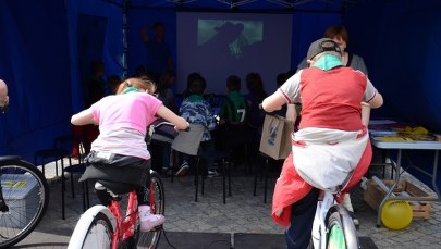 Kino na pedały. Rzeczywistość jak z Mad Maxa?