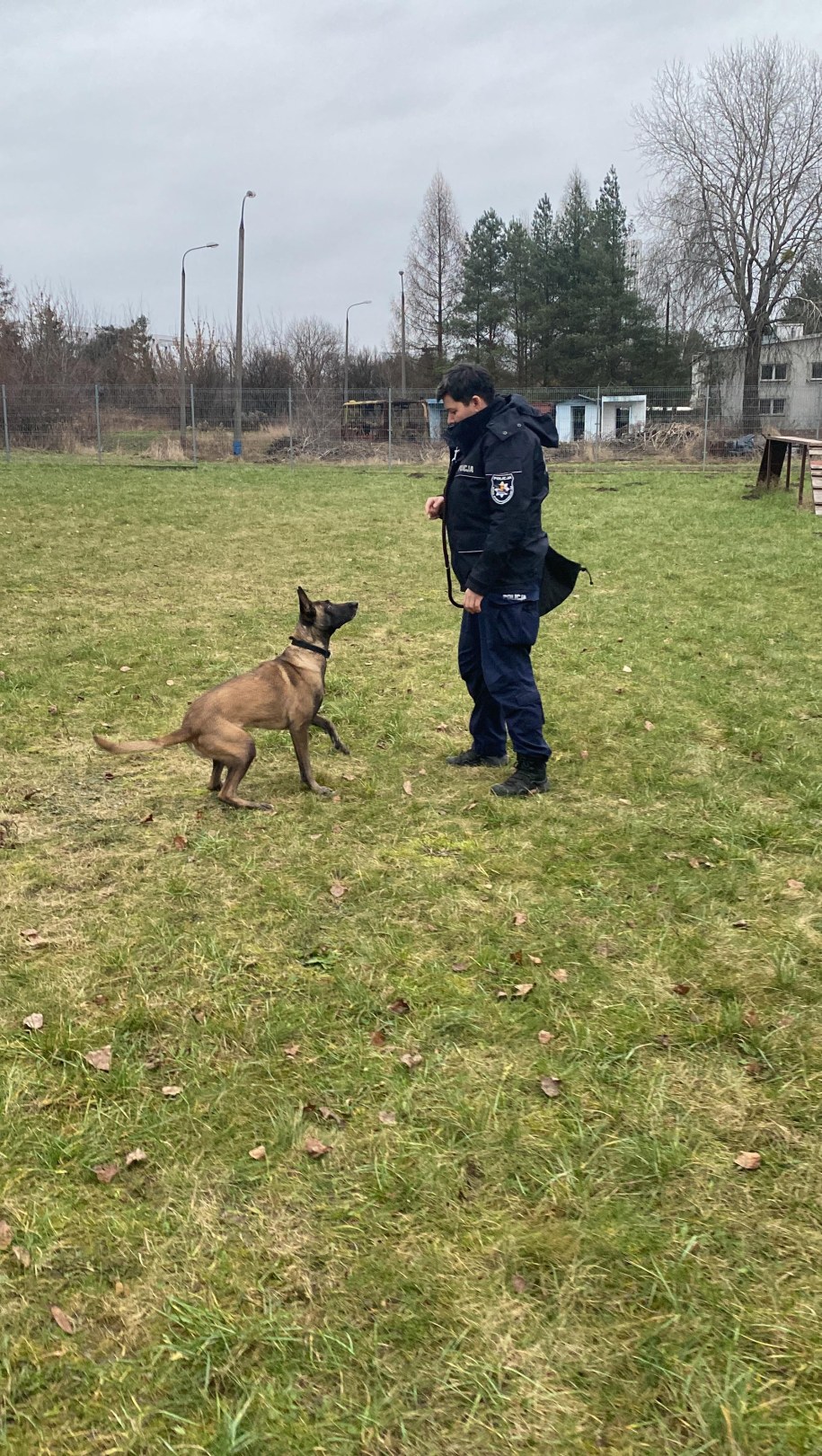 Kira w akcji /Magdalena Grajnert /RMF FM