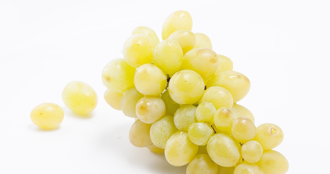 Кісточки винограду містять цінні речовини корисні для здоров’я /pixabay.com