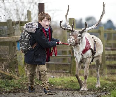 Kit Connor w scenie z filmu "Uwolnić Mikołaja!"
