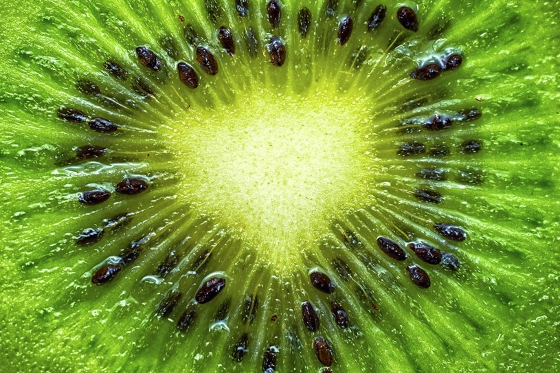 Kiwi nie bez powodu nazywane jest owocem dla cukrzyków /123RF/PICSEL