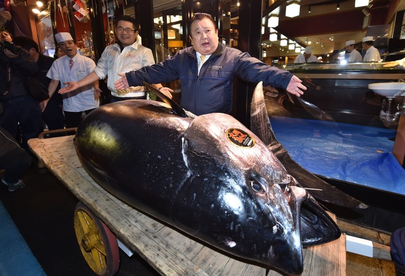 Kiyoshi Kimura stoczył twardą batalię o zakup gigantycznej ryby /AFP