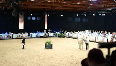 Klacz Evett Magic najlepsza w 45. Narodowym Pokazie Koni Arabskich Czystej Krwi w Janowie Podlaskim