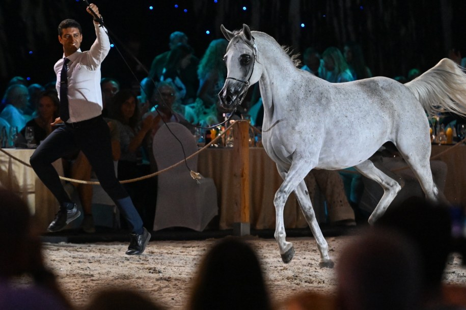Klacz Parantella /Wojtek Jargiło /PAP