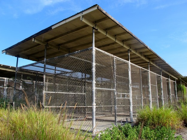 Klatki dla więźniów w Guantanamo /PAP/Inga Czerny /PAP