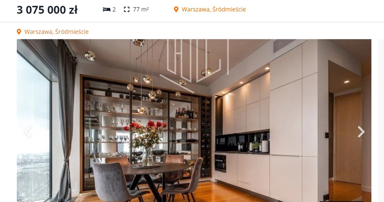 Klaudia Halejcio i jej ukochany sprzedają apartament za 3 miliony złotych (otodom.pl, fot. hryb.pl)