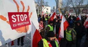 Klauzule ochronne bez akceptacji Mercosuru? Polscy producenci w szoku na dzień przed podpisaniem umowy