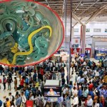 Kłębowisko jadowitych węży w bagażu na lotnisku. Przemyt jak z koszmaru