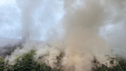 Kłęby dymu w popularnym parku rozrywki. Co się stało?