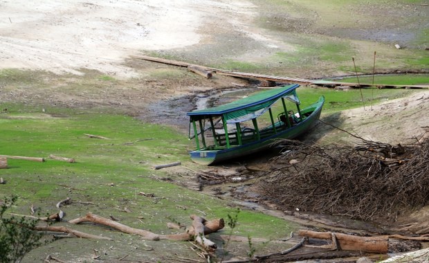 Klęska suszy w Amazonii. Poziom wód jeden z najniższych w historii