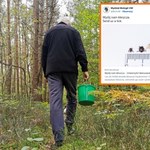 Kleszcz afrykański w Polsce. Naukowcy z UW proszą Polaków o pomoc