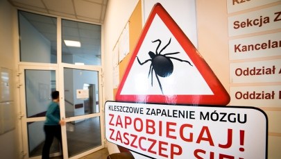 Kleszcze: Fakty i mity 