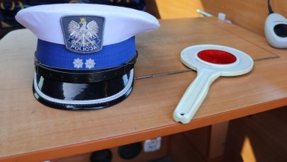 Kleszcze gołębie zaatakowały komisariat w Poznaniu. Były wszędzie 