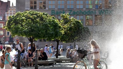 ​Klimatolodzy nie mają wątpliwości. To lato będzie rekordowe