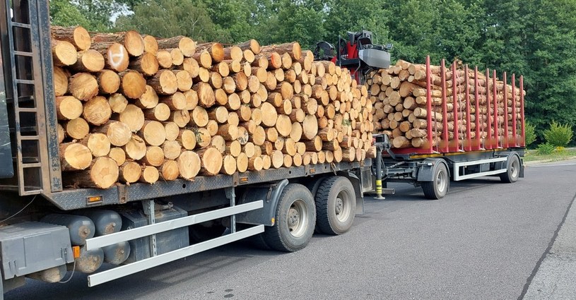 Kłody drewna na ciężarówce nie były odpowiednio zabezpieczone /ITD
