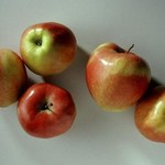 Kłopoty z eksportem jabłek do Rosji