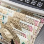 Kłótnia o rating Polski. Domański oskarżony o kłamstwo