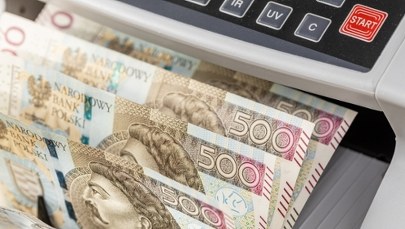 Kłótnia o rating Polski. Domański oskarżony o kłamstwo