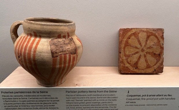 Kły mamuta, starożytne wazy i arsenał broni z różnych epok wyłowiono z Sekwany w Paryżu