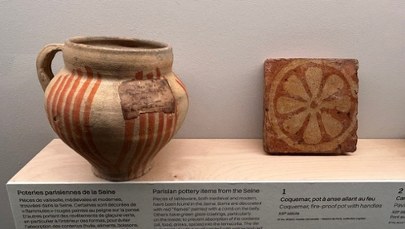 Kły mamuta, starożytne wazy i arsenał broni z różnych epok wyłowiono z Sekwany w Paryżu