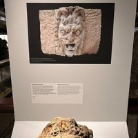 Kły mamuta, starożytne wazy i arsenał broni z różnych epok wyłowiono z Sekwany w Paryżu