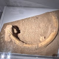 Kły mamuta, starożytne wazy i arsenał broni z różnych epok wyłowiono z Sekwany w Paryżu