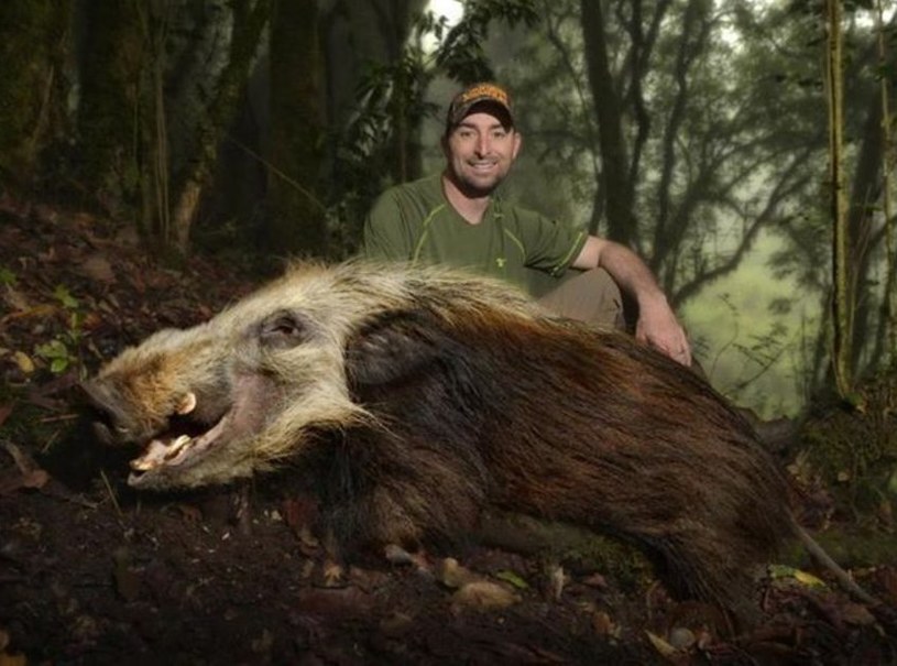 Knowlton szczyci się tym, że polował na 6 kontynentach i zabił ponad 120 gatunków zwierząt /East News
