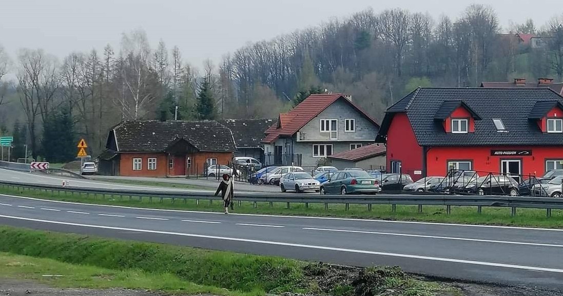 Kobieta chodziła lewym pasem jezdni /Informacja prasowa