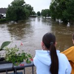 Kobieta spędziła 62 godziny na drzewie, czekając na pomoc