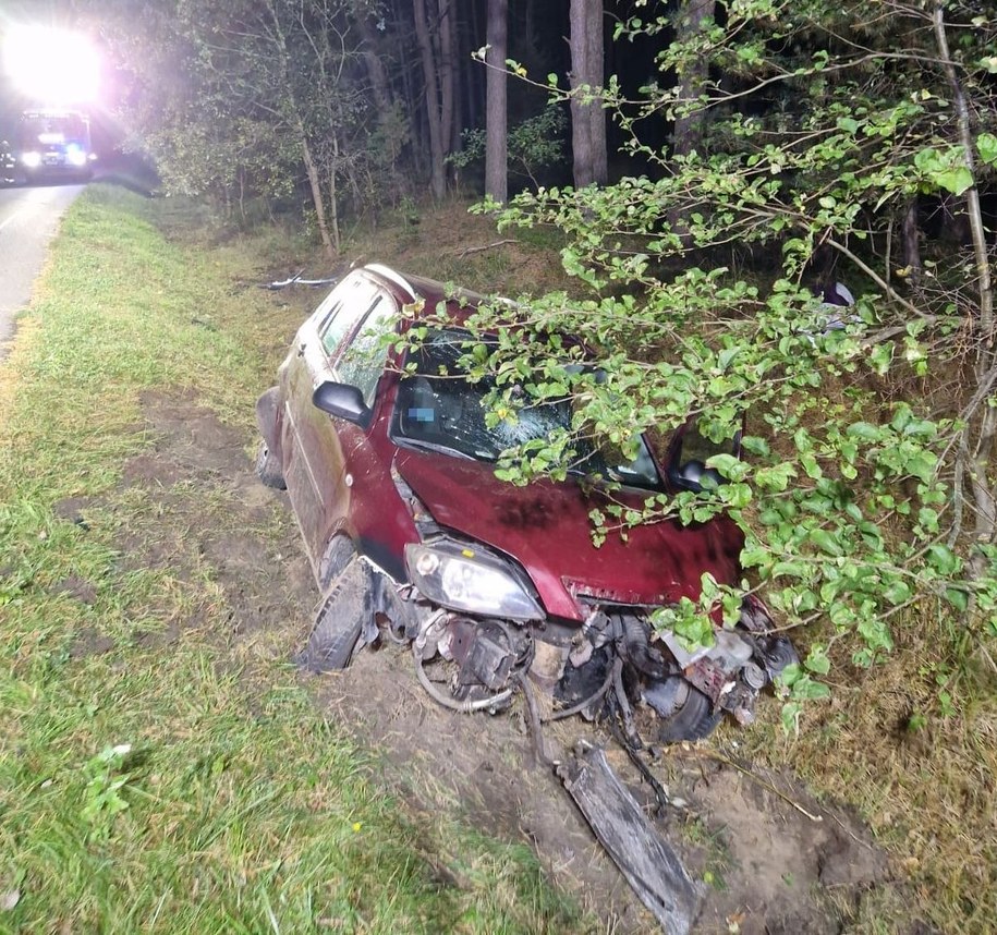 Kobieta wjechała do rowu /KPP Tomaszów Lubelski /Policja