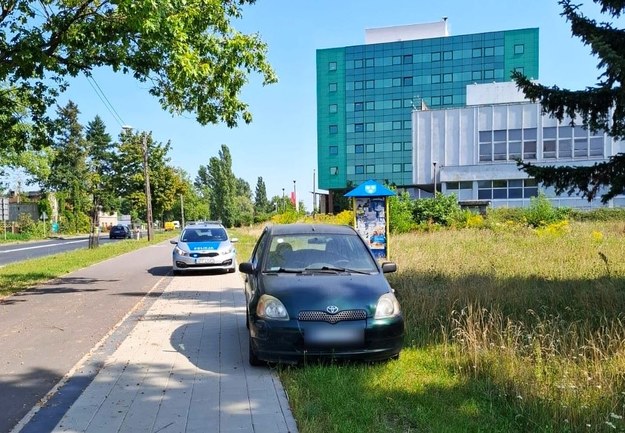 Kobieta zaparkowała na trawniku /KPP Pabianice /Policja