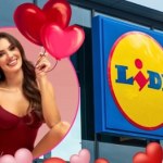 Kobiety oszalały na punkcie tej kolekcji! Gatta Boutique 50% taniej w Lidlu