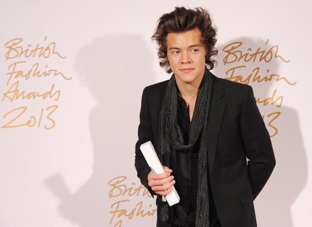Kochliwy Harry Styles - fot. Stuart C. Wilson /Getty Images/Flash Press Media