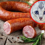 Koci Smakosz. W internecie oferują… mięso z kota
