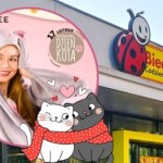 Koci szał w Biedronce. Hity dla kociarzy od 12 lutego