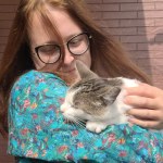 Kocie zdrowie pod lupą. Adrianna Iwan o sygnałach, które powinny być alarmujące