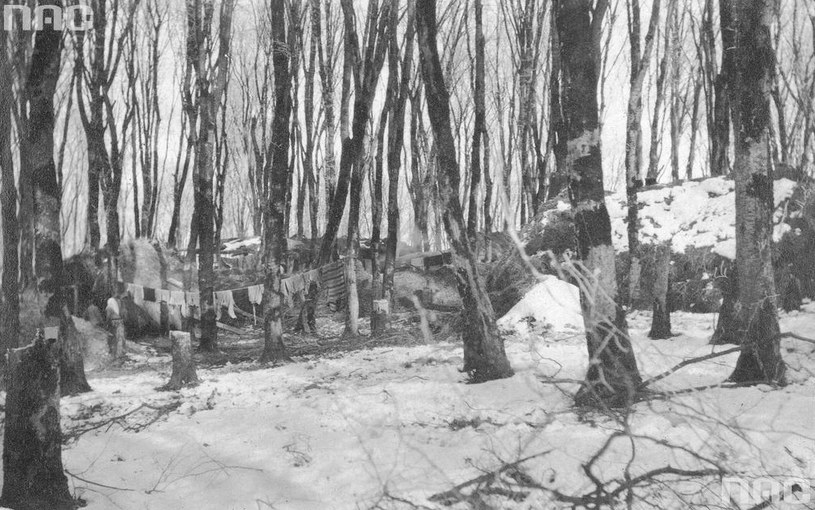 Koczowisko uchodźców na Wołyniu podczas I wojny światowej. Szałasy uchodźców w lesie /Z archiwum Narodowego Archiwum Cyfrowego