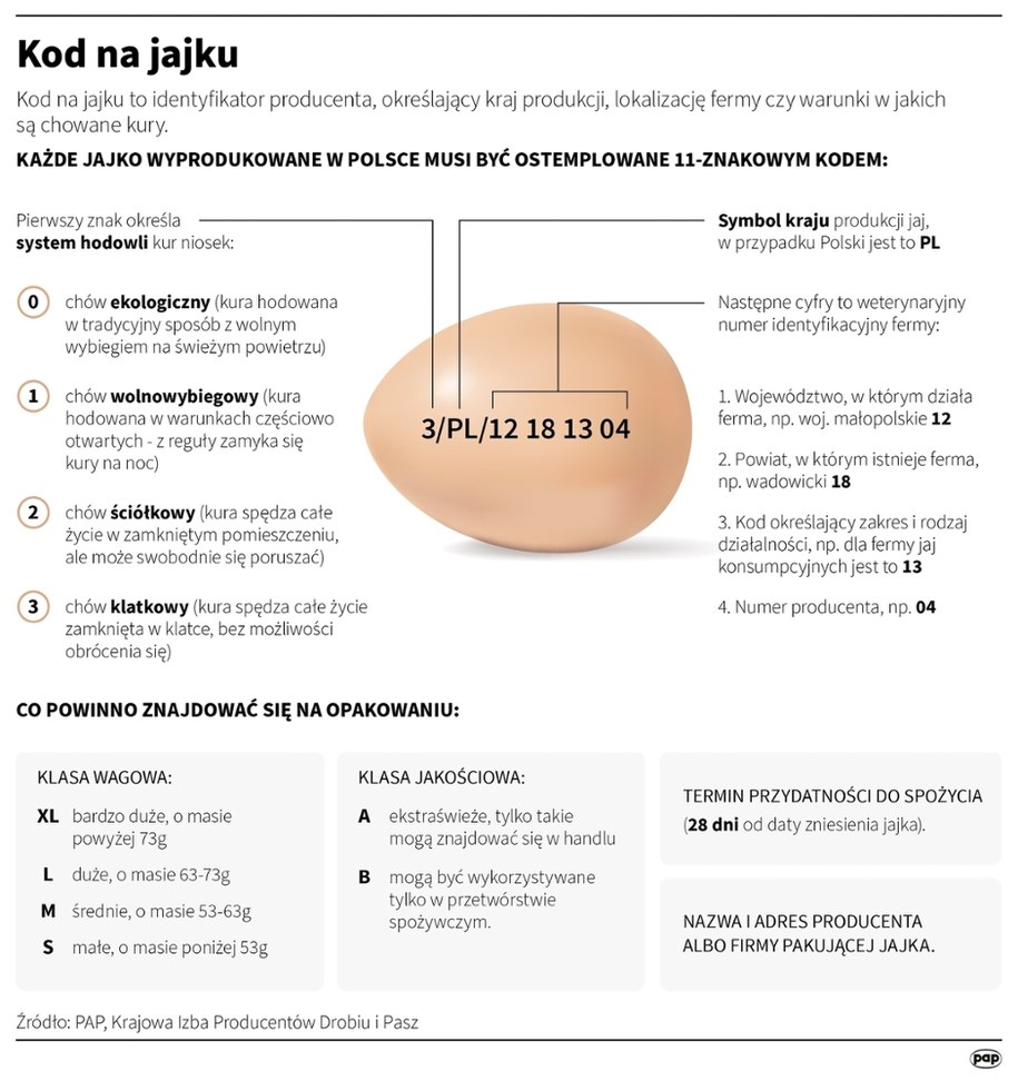 Kod na jajku /Maria Samczuk, Mateusz Krymski /PAP