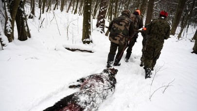 Kogo jeszcze pokocha totalna opozycja?